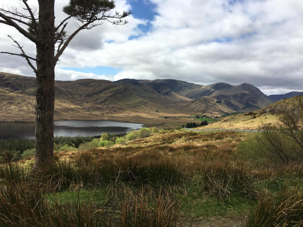 The Garden Room At Sleepy Hollow Louisburgh Exteriör bild